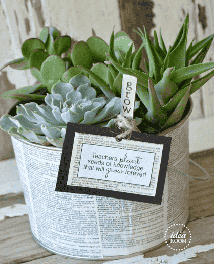Plant with printable in tub.