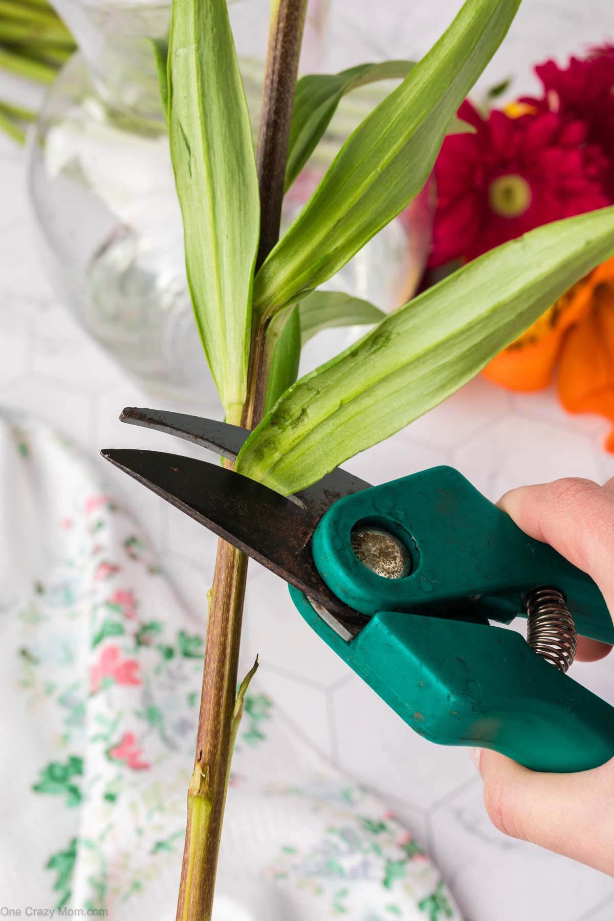 Stems being cut.