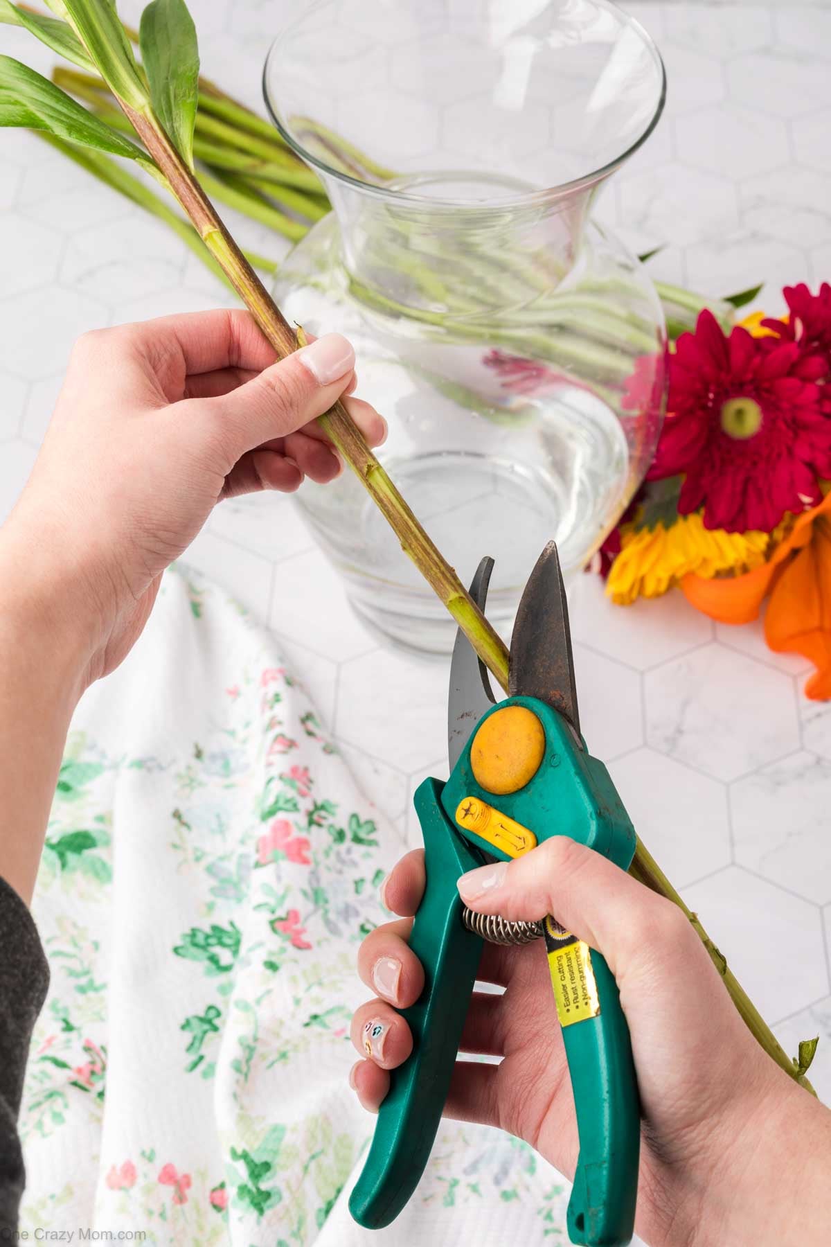 Stems being cut.