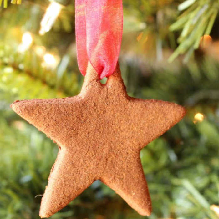 Cinnamon star ornament hanging on tree.
