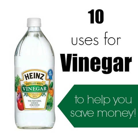Here are some clever vinegar uses that will actually save you money. These uses for vinegar will cost less than buying expensive specialty products. Bottle of white vinegar.