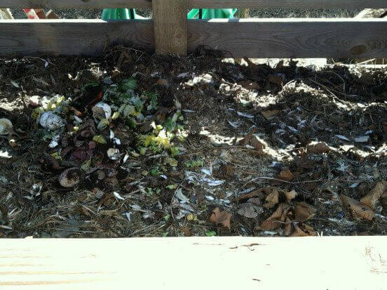Compost pile in yard.