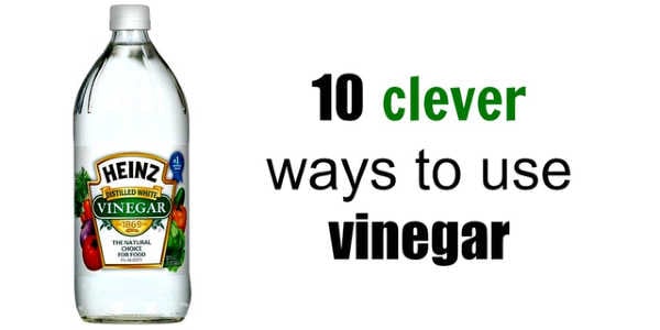 Here are some clever vinegar uses that will actually save you money. These uses for vinegar will cost less than buying expensive specialty products. Bottle of white vinegar.