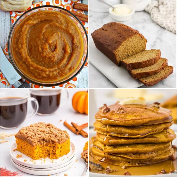 Elevate your fall gatherings with our collection of easy Canned Pumpkin Dessert Recipes. 35 delicious fall desserts with canned pumpkin that include desserts, breakfast, snacks and more sweet delights. #onecrazymom #cannedpumpkindesserts #pumpkindesserts