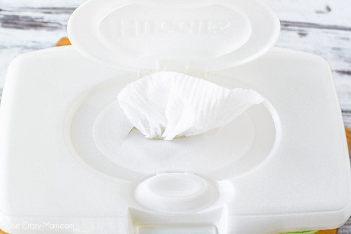Wipe holder with the wipes coming through the hole