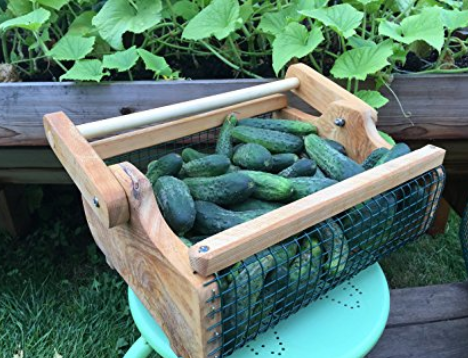 Home Gardening for Beginners. What to grow in a garden for beginners. Gardening for Beginners. Learn all about vegetable gardening for beginners. Home Gardening for Beginners. What to grow in a garden for beginners. Gardening for Beginners. Learn all about vegetable gardening for beginners.