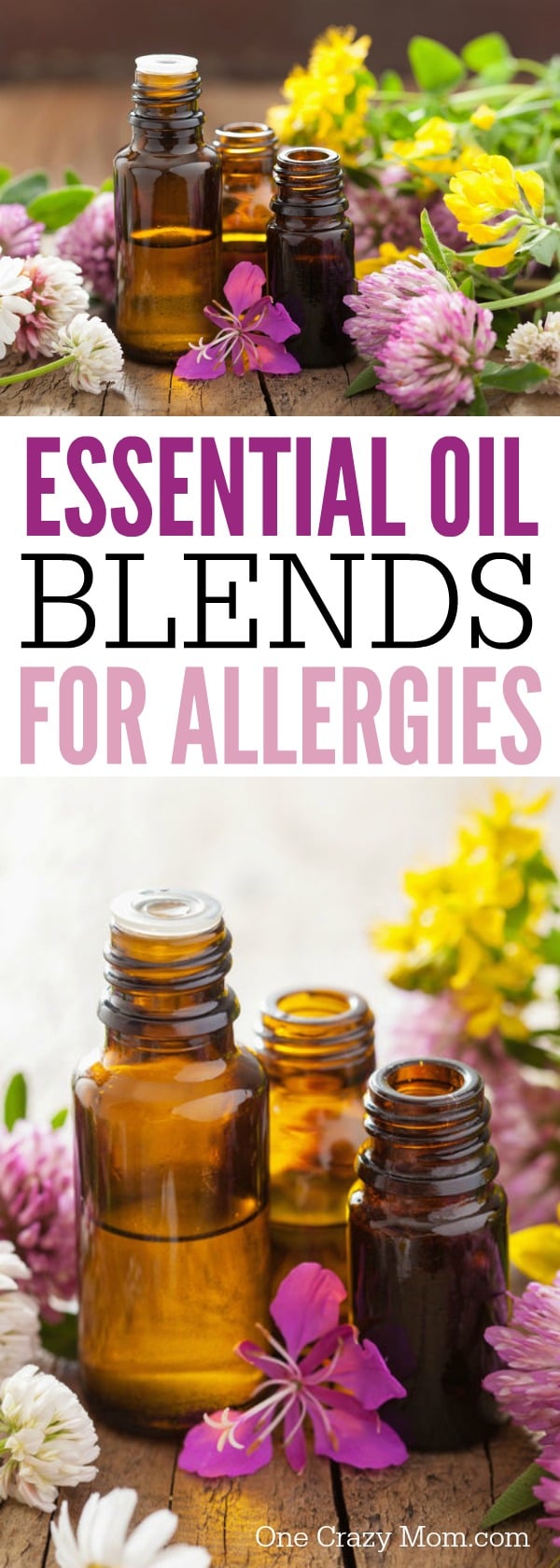 Here are 6 of the best essential oils for allergies. Try one of these essential oils for allergies. These are the best essential oil blends for allergies. Here are 6 of the best essential oils for allergies. Try one of these essential oils for allergies. These are the best essential oil blends for allergies.
