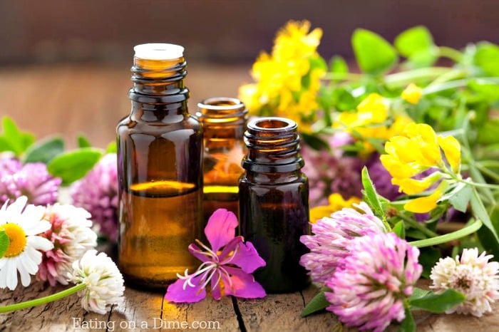 Here are 6 of the best essential oils for allergies. Try one of these essential oils for allergies. These are the best essential oil blends for allergies. Here are 6 of the best essential oils for allergies. Try one of these essential oils for allergies. These are the best essential oil blends for allergies.