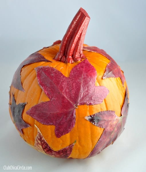 Find 20 no carve pumpkin decorating ideasย the entire family can help with.ย It's so fun to decorate for Fall and what better way than with pumpkins! Pumpkin with Fall leaves on it.
