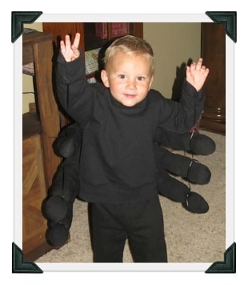 Toddler in a spider costume.