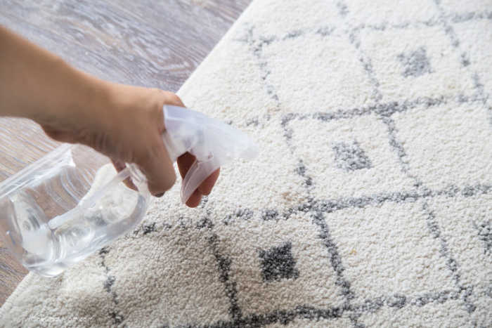 Spray bottle with cleaning solution sprayed on carpet.