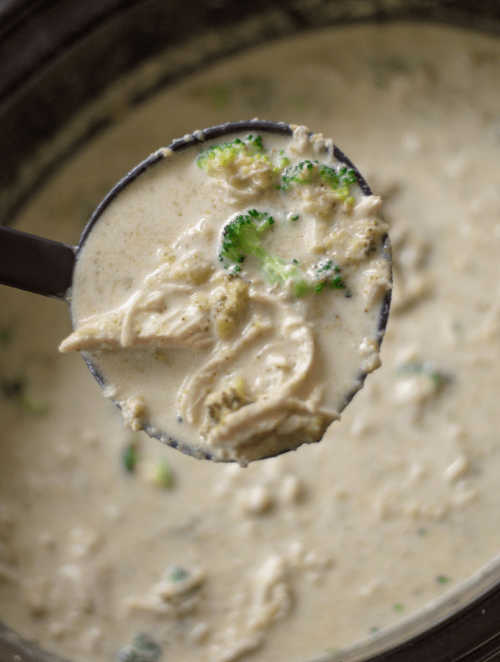 We have tons of delicious Keto chicken recipes that you will love while enjoying the keto lifestyle. Try these easy keto chicken recipes sure to impress. We have tons of delicious Keto chicken recipes that you will love while enjoying the keto lifestyle. Try these easy keto chicken recipes sure to impress.