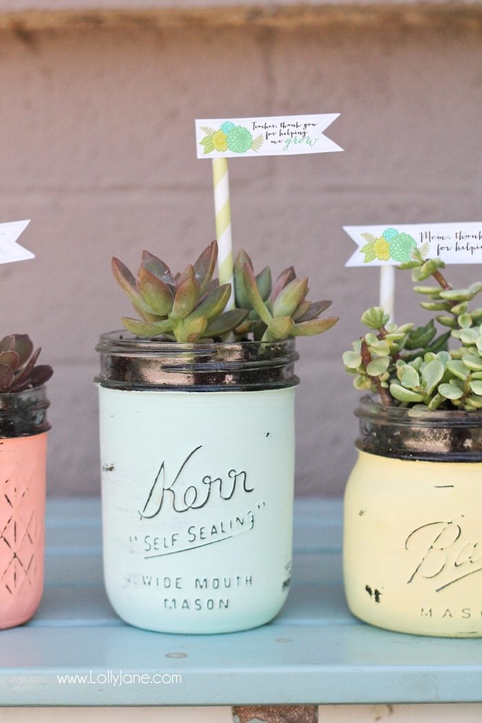 Succulent in mason jars with printable tag.