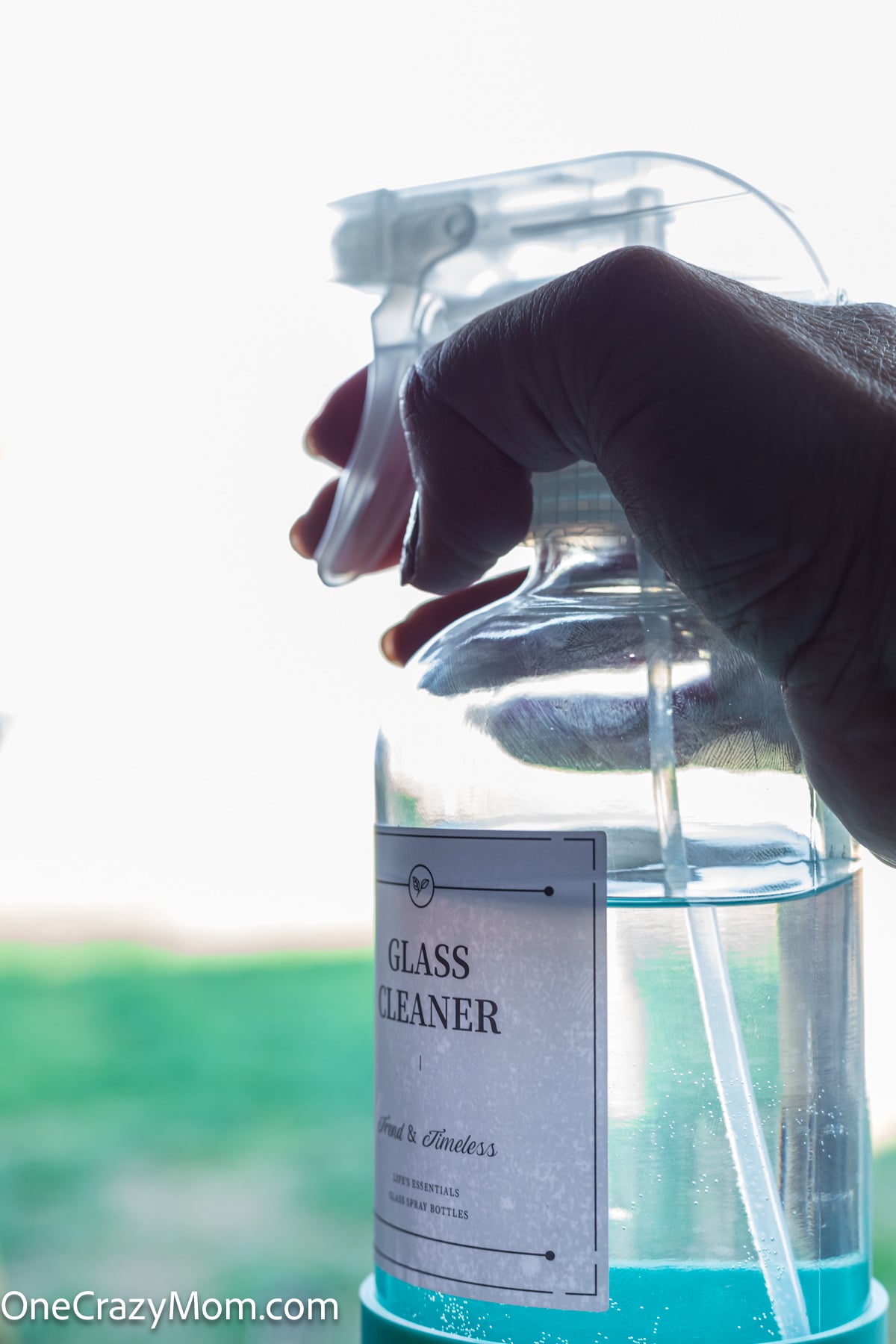 Glass cleaner ready to use in spray bottle.