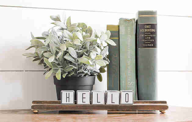 Blocks in front of plant.