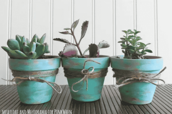 Succulent Pots with twine.