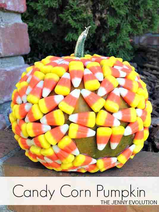 Pumpkin with candy corn.