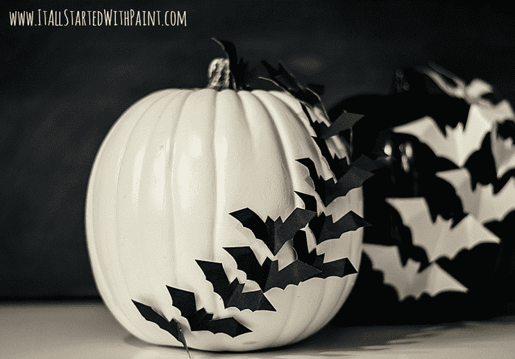 Bats across a white pumpkin.