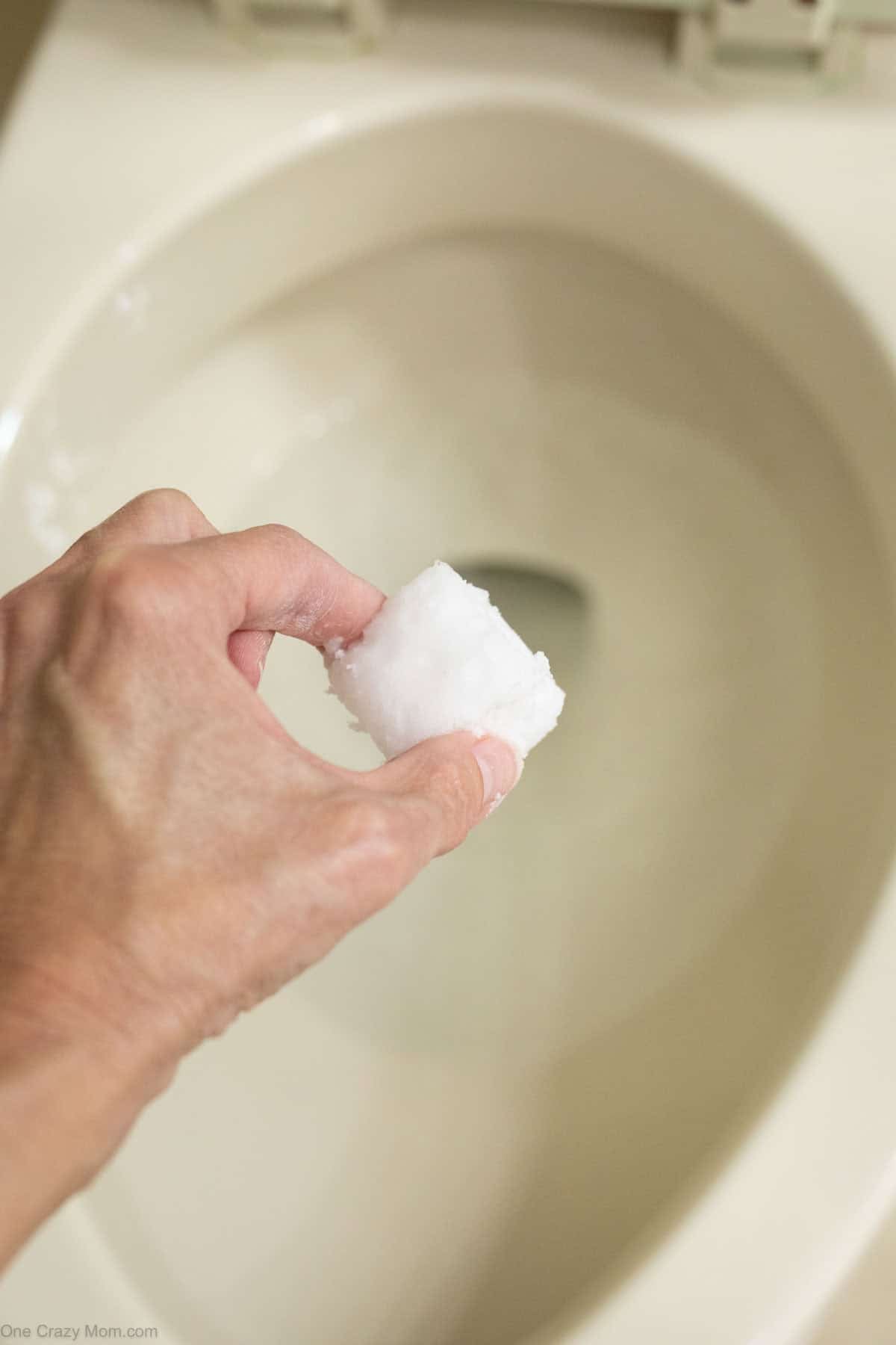 DIY Cleaner cube going into toilet.