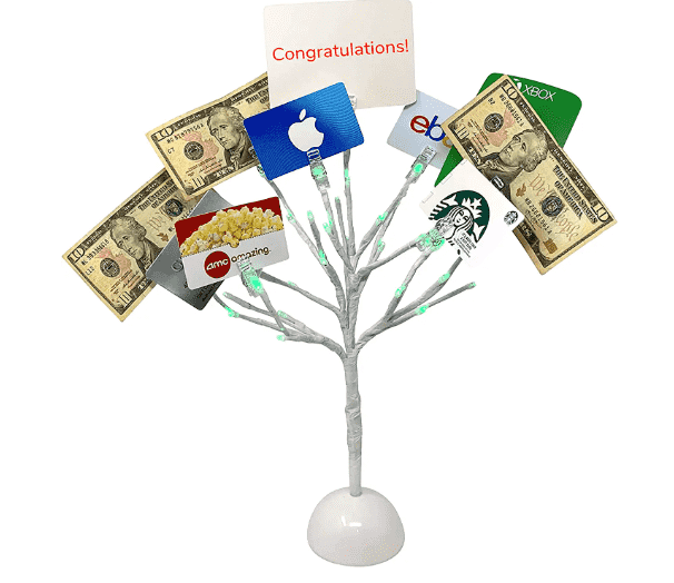Money tree with cash and gift cards.