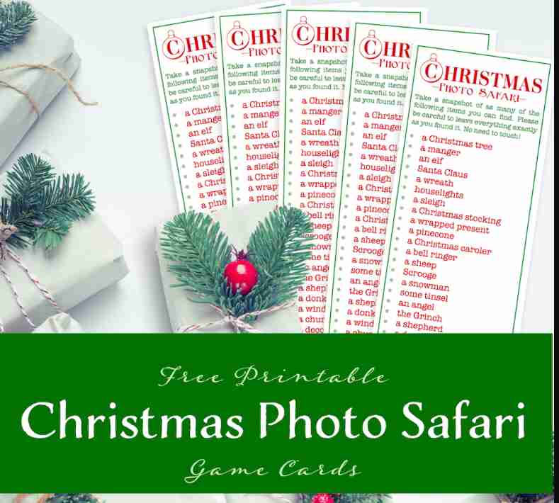 Photo safari list for Christmas.