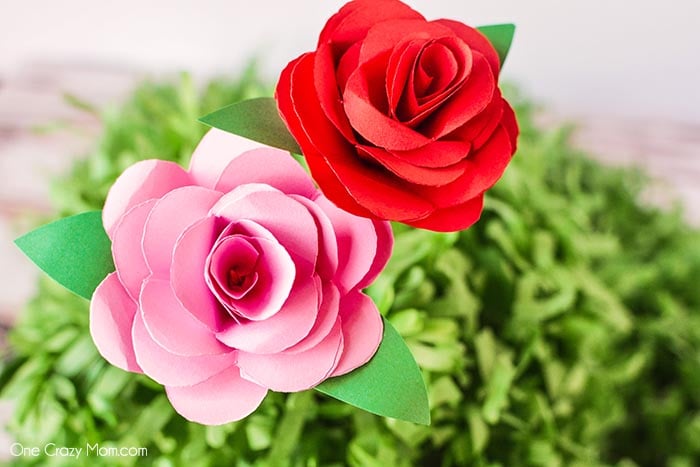 Flowers with leaves.