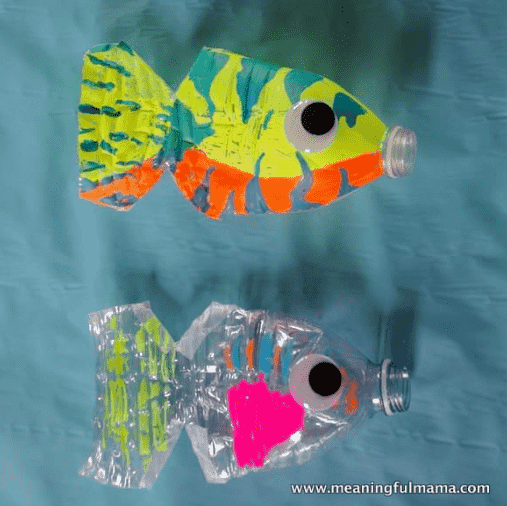 Water bottle fish.