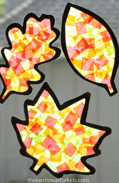 Stained glass etched leaves on glass.
