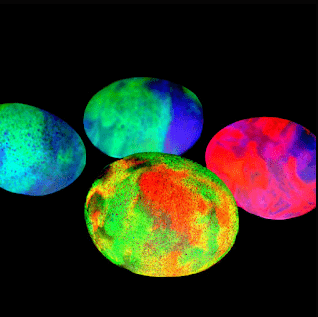 Neon eggs against black background.