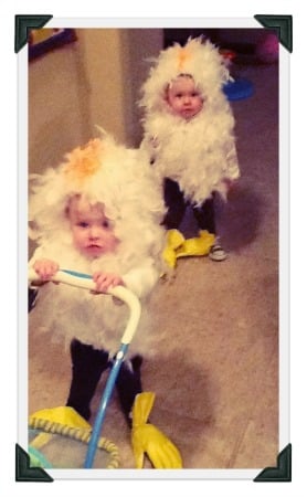 Kids in chicken costumes.