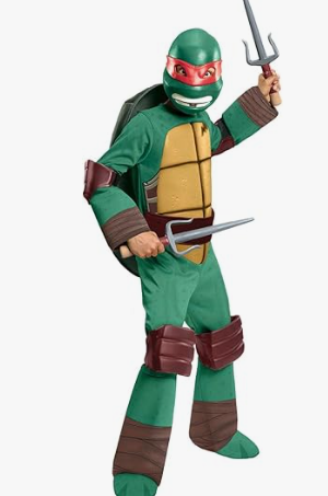 Teenage Mutant Ninja Turtle Costume on a child.