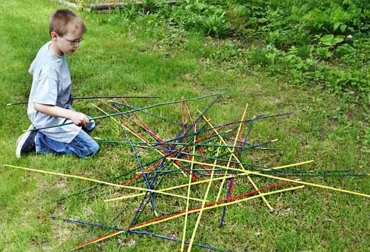 PIck up sticks in the yard.