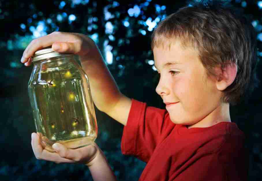 Fireflies in a jar.