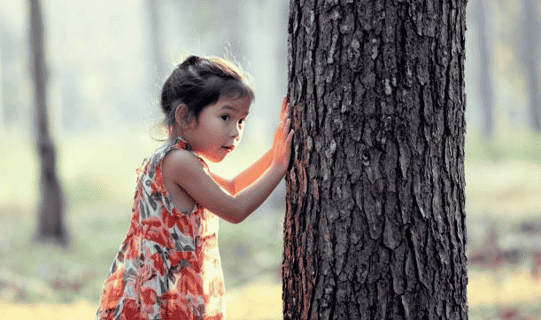 Hide and seek behind a tree.