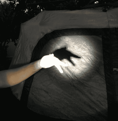 Shadow puppets on a tent.