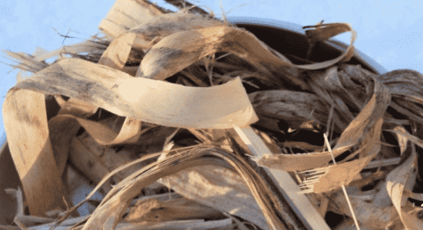 Shredded paper in a pile.