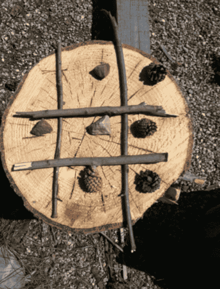 Tic Tac Toe using nature items.