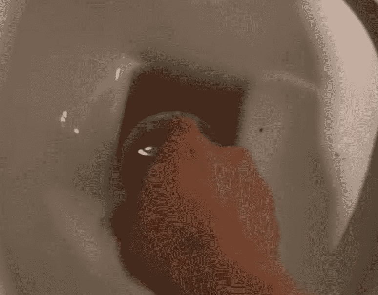 DIY plunger in toilet.