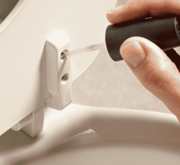 Toilet seat screws.