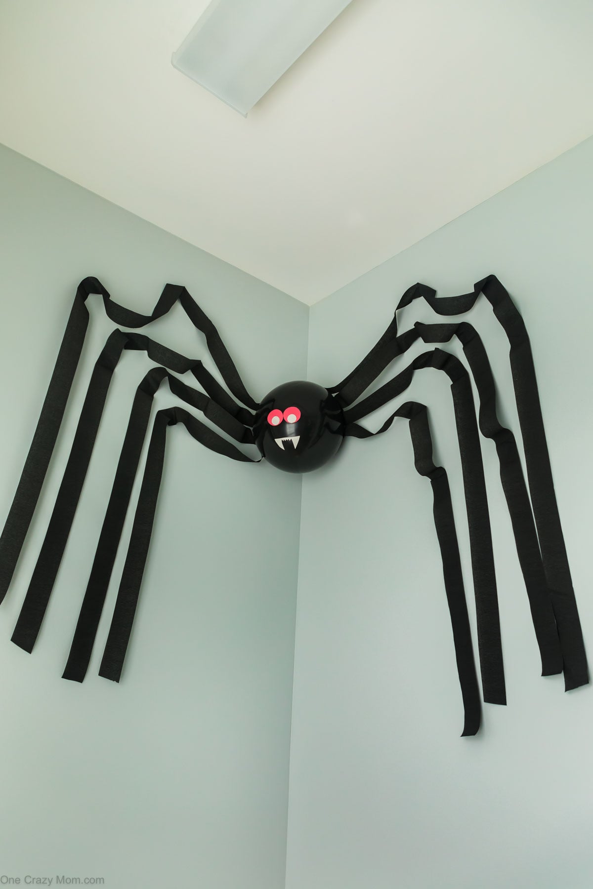 Spider hanging on wall.