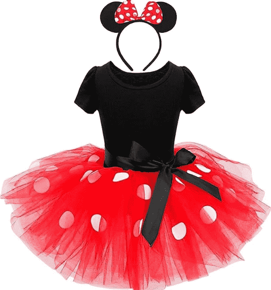 Minnie Costume with headband.