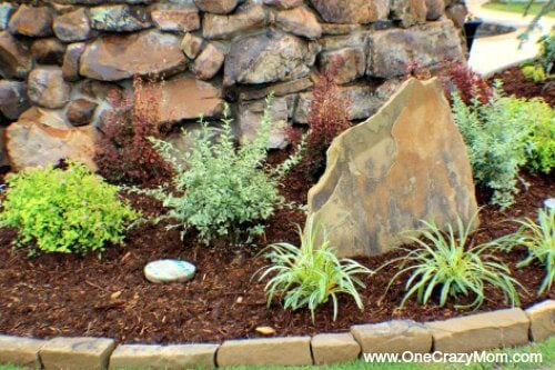 Use these money saving landscaping tips to save big on landscaping. 7 Money saving landscaping tips you will love. Learn how to save money on landscaping. Save thousands of dollars with these money saving tips for landscaping your yard! Use these money saving landscaping tips to save big on landscaping. 7 Money saving landscaping tips you will love. Learn how to save money on landscaping. Save thousands of dollars with these money saving tips for landscaping your yard!