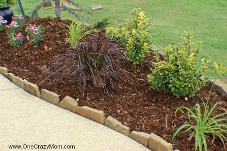 Use these money saving landscaping tips to save big on landscaping. 7 Money saving landscaping tips you will love. Learn how to save money on landscaping. Save thousands of dollars with these money saving tips for landscaping your yard! Use these money saving landscaping tips to save big on landscaping. 7 Money saving landscaping tips you will love. Learn how to save money on landscaping. Save thousands of dollars with these money saving tips for landscaping your yard!
