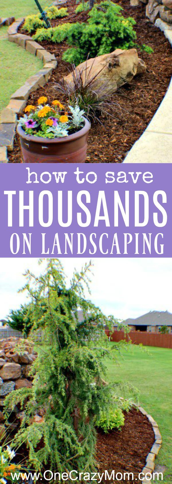 Use these money saving landscaping tips to save big on landscaping. 7 Money saving landscaping tips you will love. Learn how to save money on landscaping. Save thousands of dollars with these money saving tips for landscaping your yard! Use these money saving landscaping tips to save big on landscaping. 7 Money saving landscaping tips you will love. Learn how to save money on landscaping. Save thousands of dollars with these money saving tips for landscaping your yard!