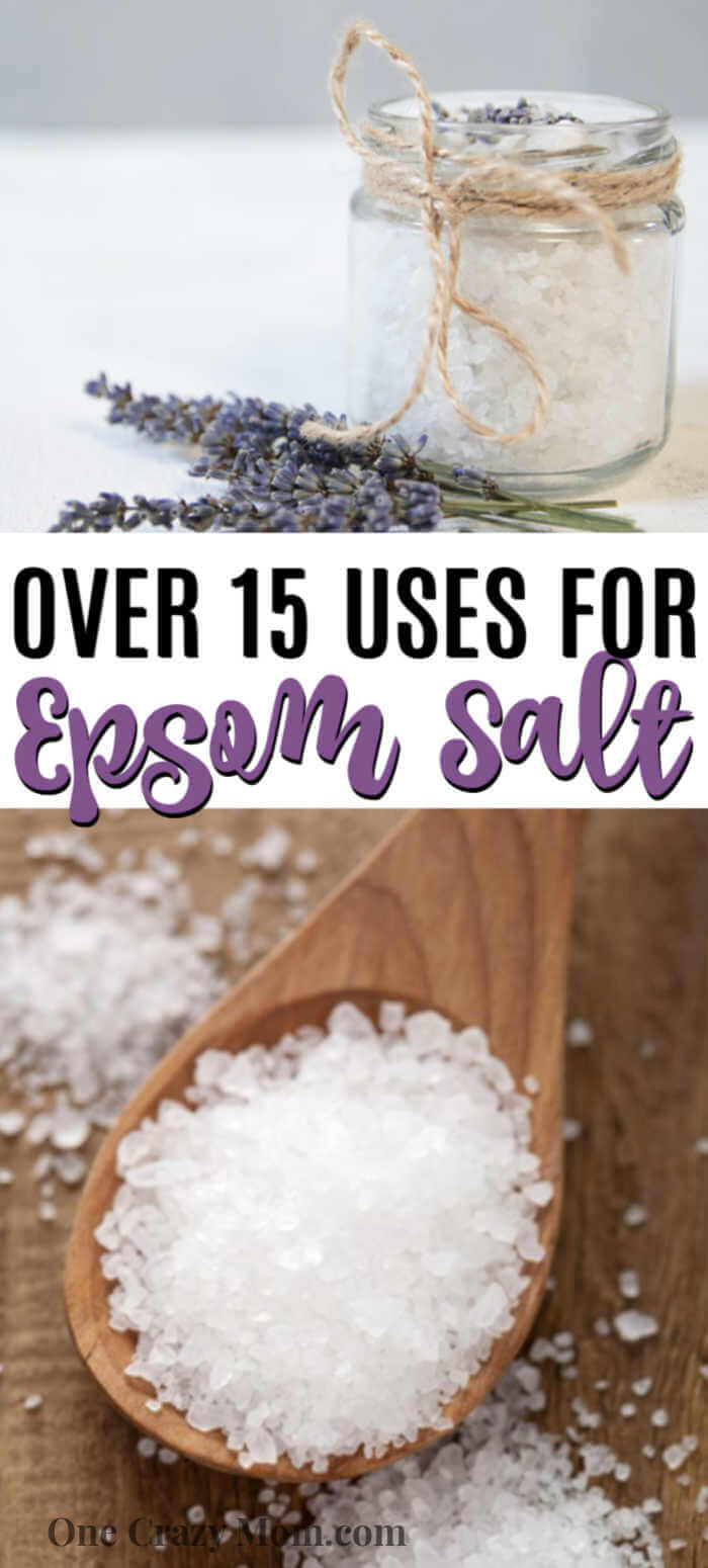 There are so many Epsom Salt Uses that include beauty, health and even home and garden. Learn over 15 epsom salt uses that will help you today. There are so many Epsom Salt Uses that include beauty, health and even home and garden. Learn over 15 epsom salt uses that will help you today.