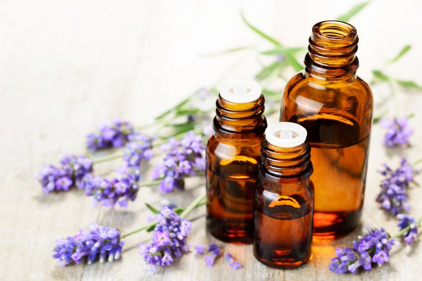 There are numerous Lavender essential oil uses that you need to know. Find 25 of the best lavender oil uses to use for beauty, home and more. There are numerous Lavender essential oil uses that you need to know. Find 25 of the best lavender oil uses to use for beauty, home and more.