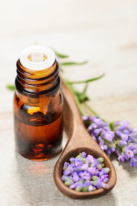 There are numerous Lavender essential oil uses that you need to know. Find 25 of the best lavender oil uses to use for beauty, home and more. There are numerous Lavender essential oil uses that you need to know. Find 25 of the best lavender oil uses to use for beauty, home and more.