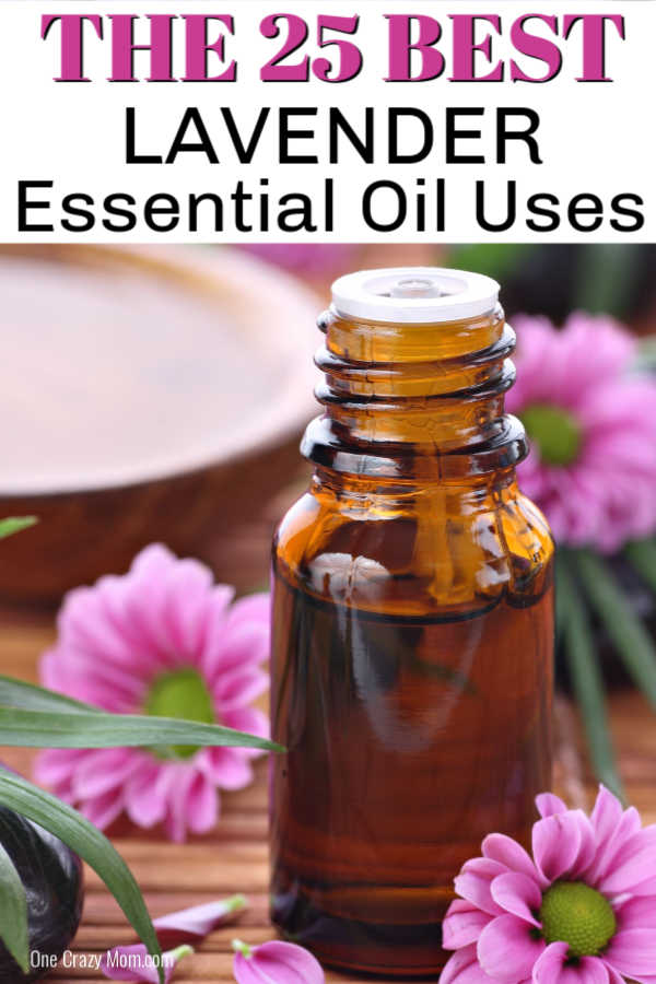 There are numerous Lavender essential oil uses that you need to know. Find 25 of the best lavender oil uses to use for beauty, home and more. There are numerous Lavender essential oil uses that you need to know. Find 25 of the best lavender oil uses to use for beauty, home and more.
