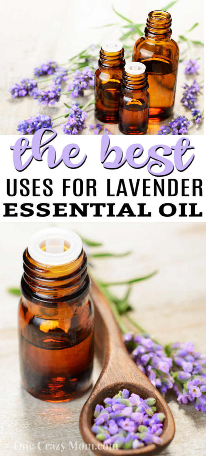 There are numerous Lavender essential oil uses that you need to know. Find 25 of the best lavender oil uses to use for beauty, home and more. There are numerous Lavender essential oil uses that you need to know. Find 25 of the best lavender oil uses to use for beauty, home and more.