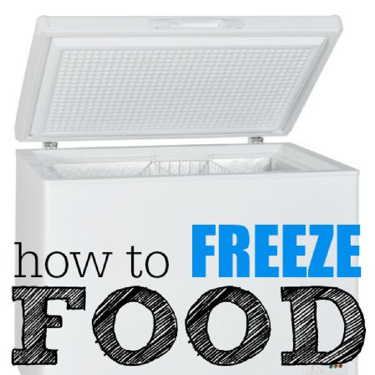 how to freeze food to save money square